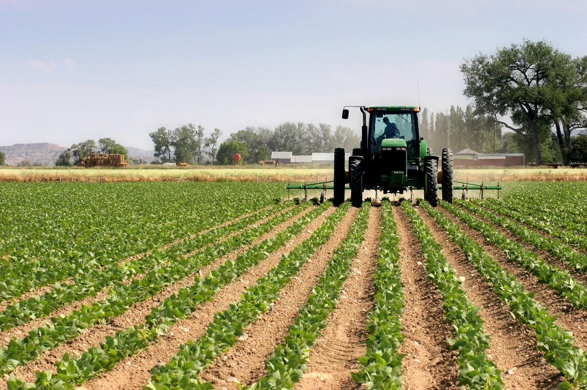 Agriculture: une embellie inattendue redonne espoir au monde rural